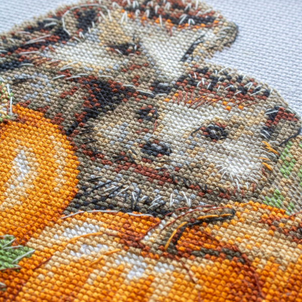 A completed cross-stitch of two hedgehogs nestled among pumpkins and autumn leaves, stitched in warm browns, oranges, and greens on white Aida fabric.