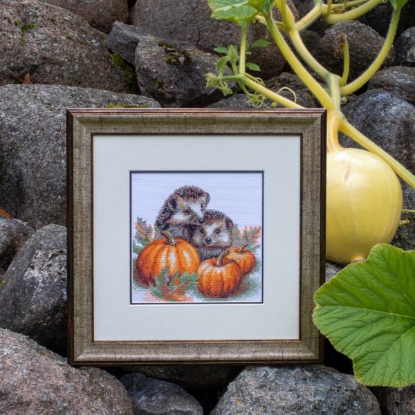 A completed cross-stitch of two hedgehogs nestled among pumpkins and autumn leaves, stitched in warm browns, oranges, and greens on white Aida fabric.