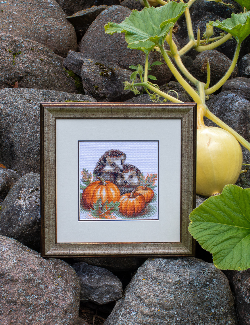 A completed cross-stitch of two hedgehogs nestled among pumpkins and autumn leaves, stitched in warm browns, oranges, and greens on white Aida fabric.