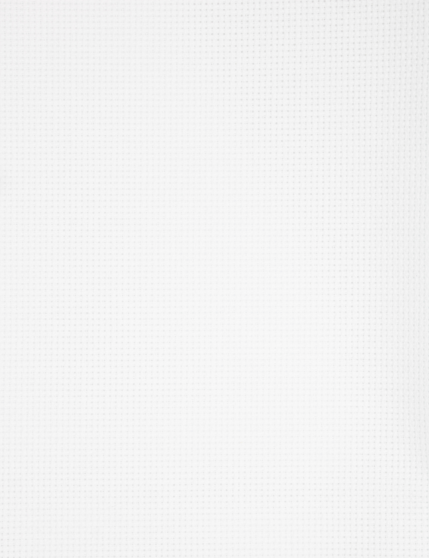 Close-up of Zweigart 14 count white Aida fabric showing the fine evenweave grid.