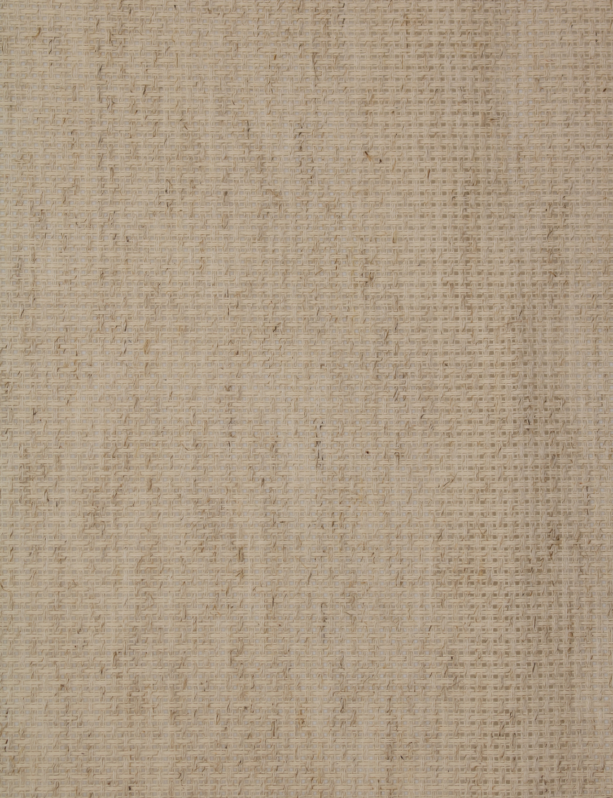 Close-up of Zweigart 14 count Rustico Aida fabric showcasing its standard evenweave grid and natural, earthy flecked appearance.