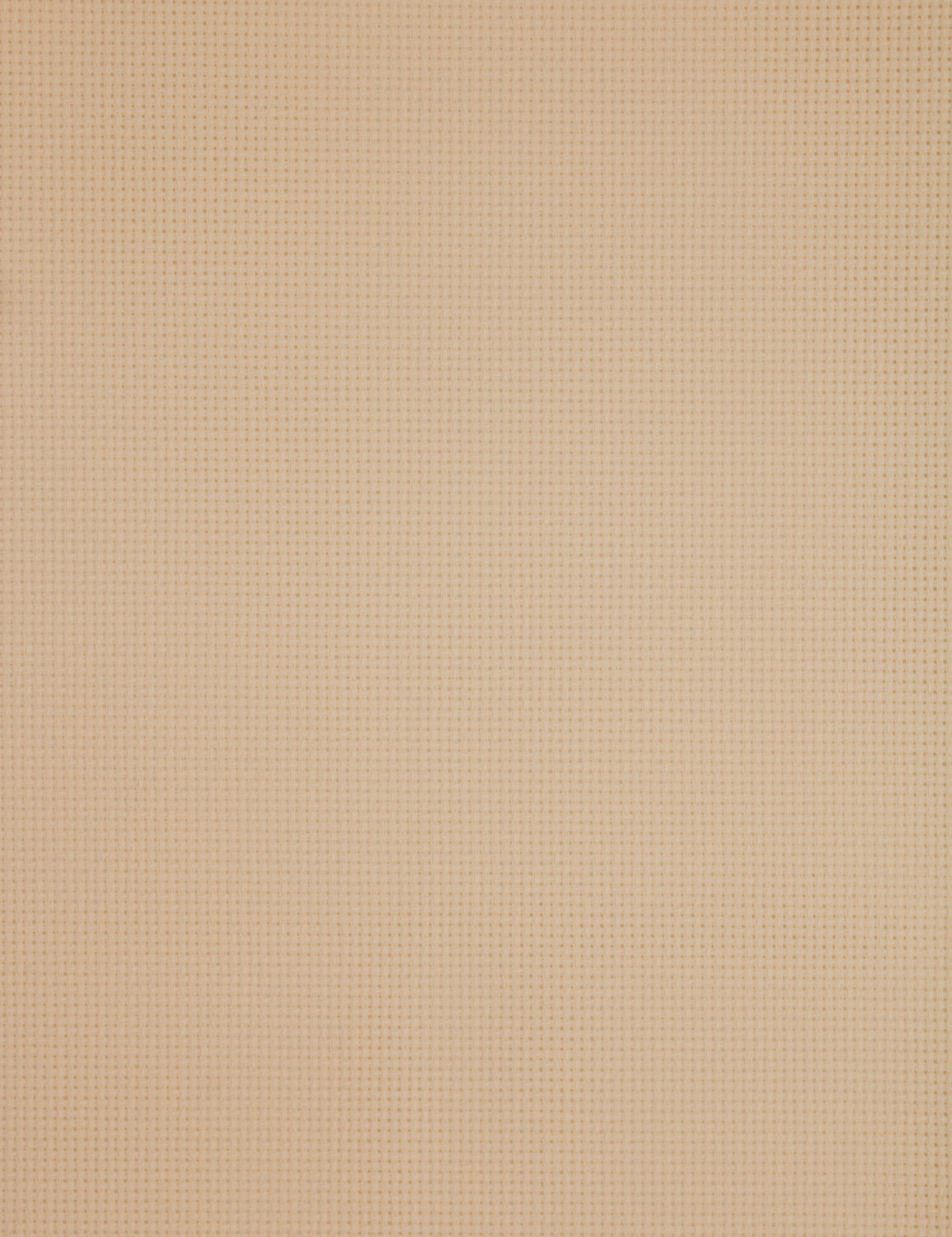 Close-up of Zweigart 18 count ivory Aida fabric showcasing its ultra-fine, detailed evenweave grid and warm, creamy color.