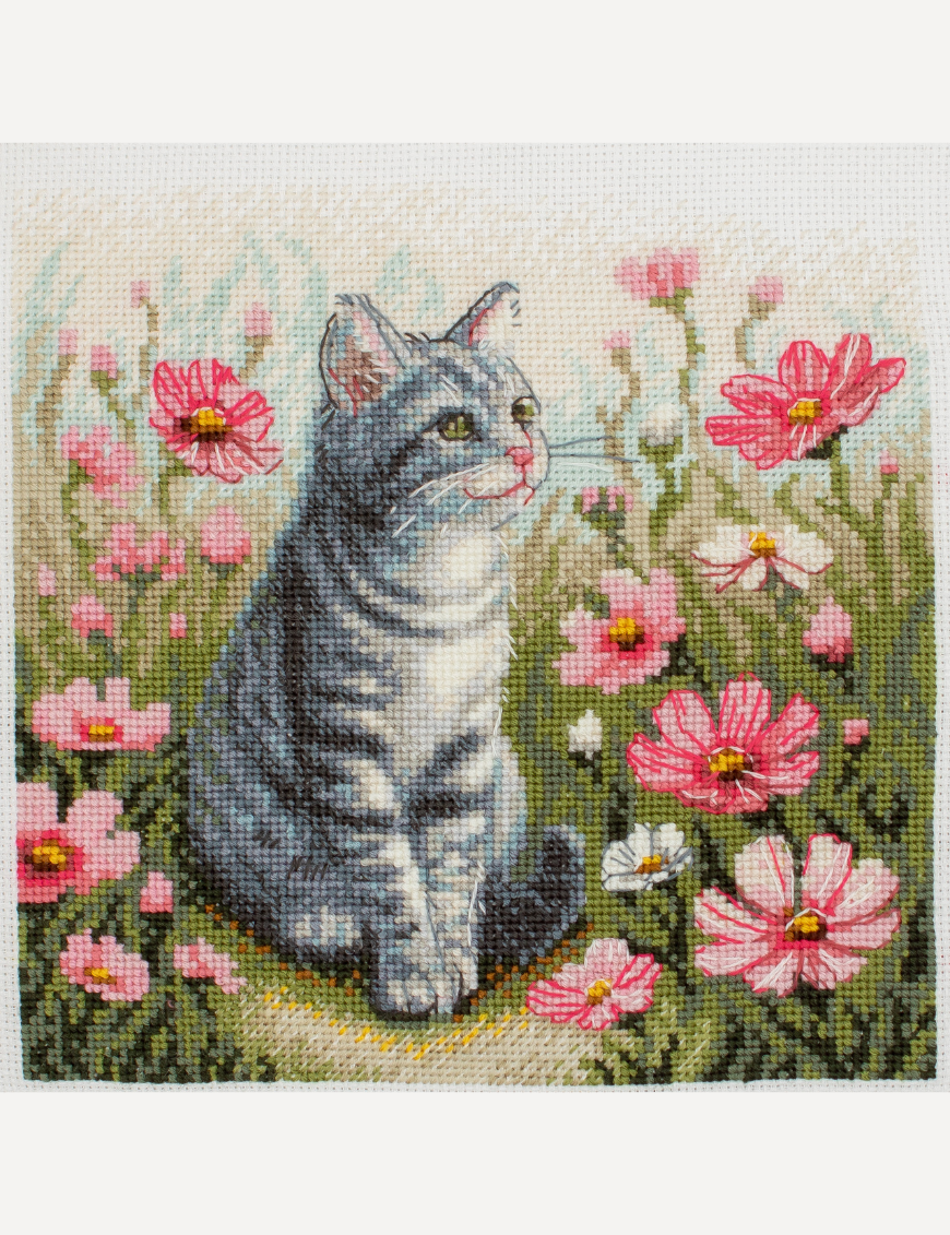 A completed cross-stitch portrait of a grey tabby cat with white markings and green eyes, sitting among tall pink cosmos flowers and a few white blooms, with green foliage and a pale blue sky in the background.
