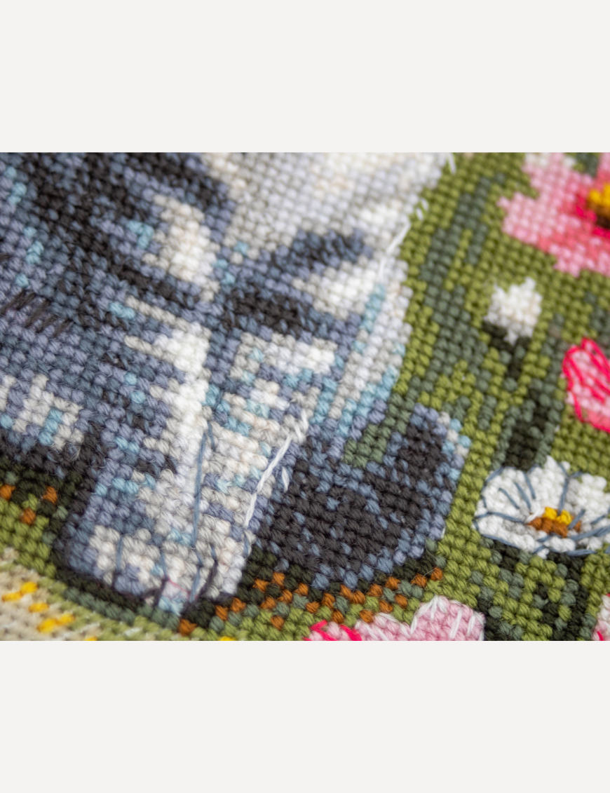 A completed cross-stitch portrait of a grey tabby cat with white markings and green eyes, sitting among tall pink cosmos flowers and a few white blooms, with green foliage and a pale blue sky in the background.