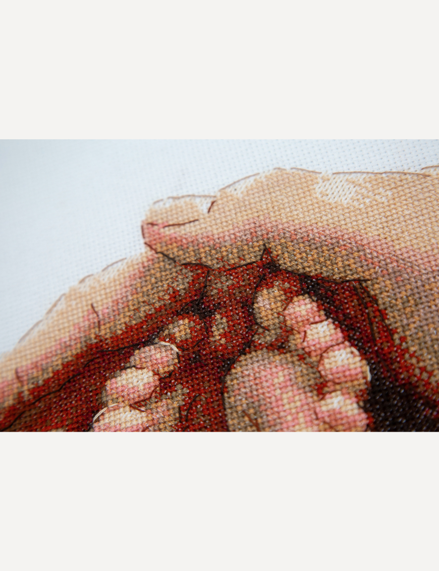 Close-up of cross-stitched tiny baby toes and the edge of a parent’s hand, with blended terracotta, peach and rose threads on white Aida.
